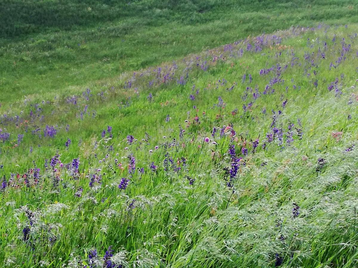 Il Sanco Panzió Selva di Progno Kültér fotó