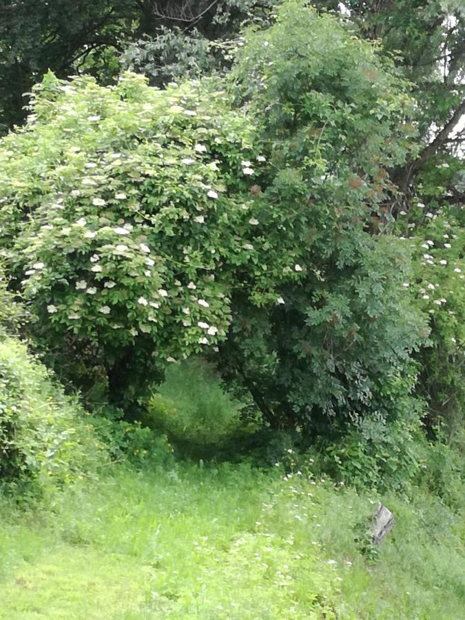 Il Sanco Panzió Selva di Progno Kültér fotó