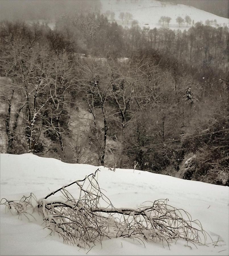 Il Sanco Panzió Selva di Progno Kültér fotó